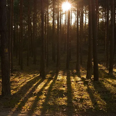 ゲストハウス Palac Odnova サシノ