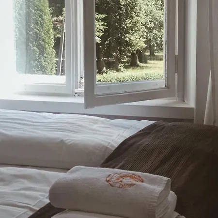 Palac Odnova * Sasino