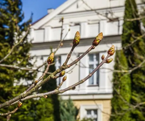 Palac Odnova Gasthof Sasino