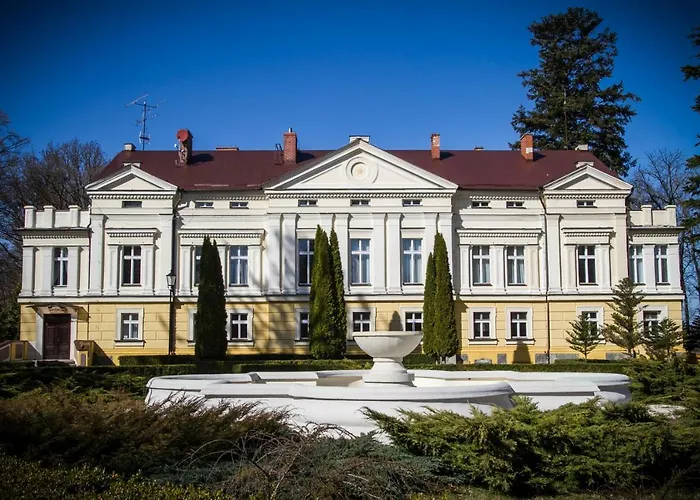 Palac Odnova Gasthof Sasino