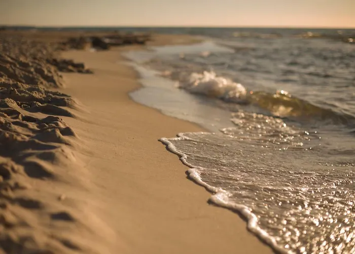 Gasthof Palac Odnova