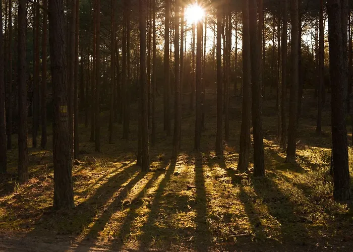 Gasthof Palac Odnova Sasino