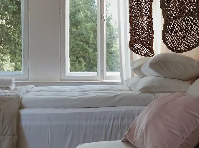 Palac Odnova * Sasino