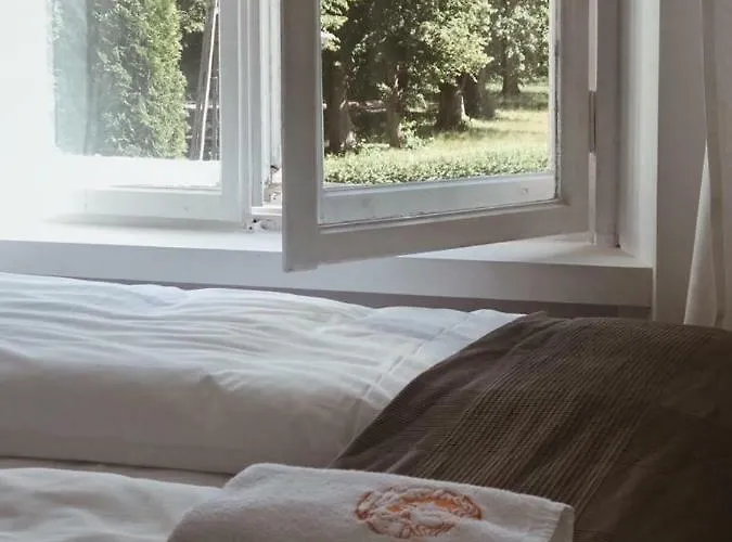 Palac Odnova * Sasino